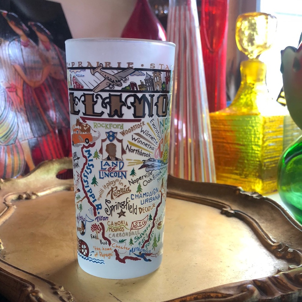 VINTAGE Illinois Map Frosted Glass Tumbler ✨